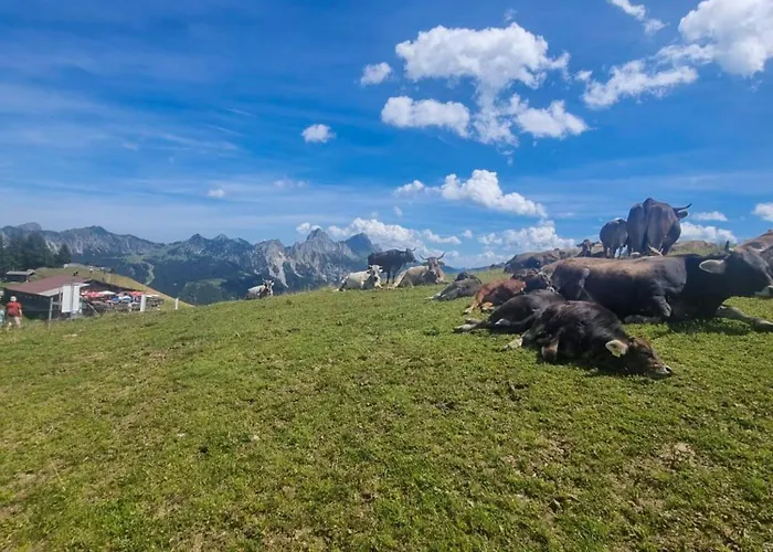 Alpenglueck Appartement *